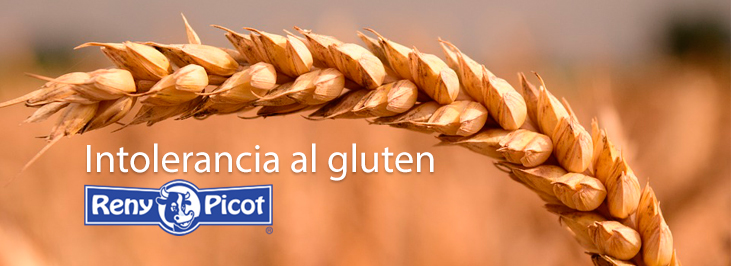 Intolerancia al gluten