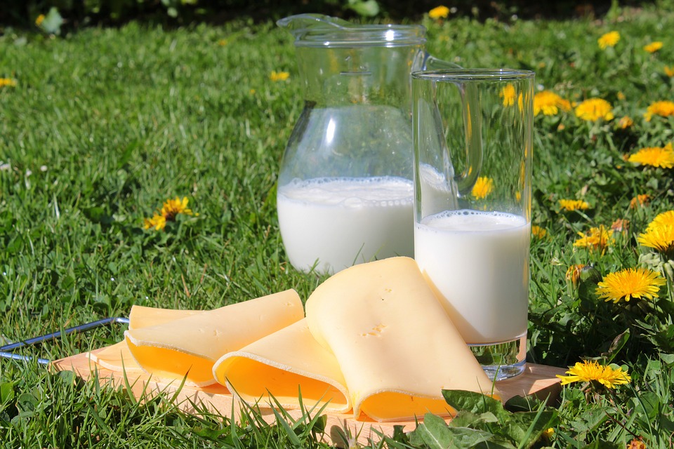 beneficios de los alimentos lácteos para la dieta diaria reny picot queso leche mantequilla nata